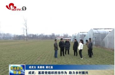 成武：基层党组织担当作为 助力乡村振兴