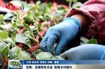 定陶区：发展特色农业 助推乡村振兴