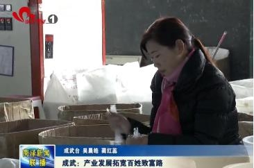  成武：产业发展 拓宽百姓致富路