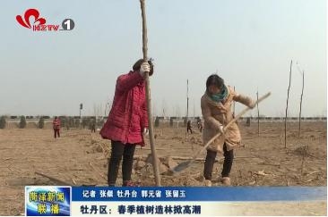 牡丹区：春季植树造林掀高潮