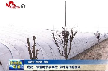 成武：惊蛰时节农事忙 乡村劳作盼振兴