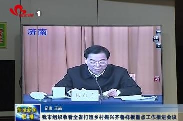 我市组织收看全省打造乡村振兴齐鲁样板重点工作推进会议