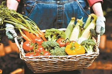 新潮饮食花样多 误区也多