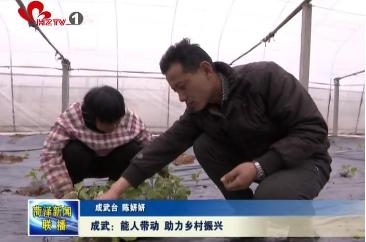  成武：能人带动 助力乡村振兴