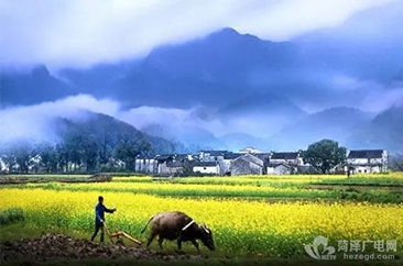 【菏泽广电旅游】3月，我们一起去婺源赏油菜花吧！