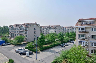 豆各庄安置房家家有充足阳光