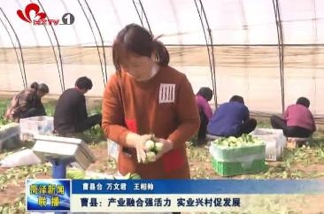 曹县：产业融合强活力 实业兴村促发展