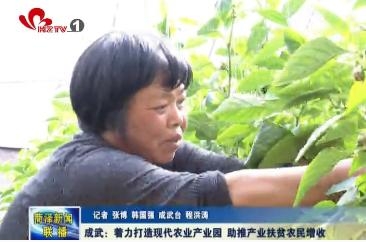 成武：着力打造现代农业产业园 助推产业扶贫农民增收