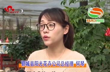 何琴：扎根泥土自芬芳