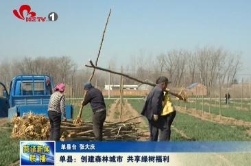 单县：创建森林城市 共享绿树福利