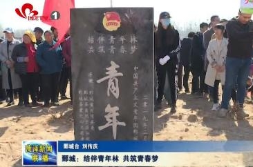 鄄城：结伴青年林 共筑青春梦