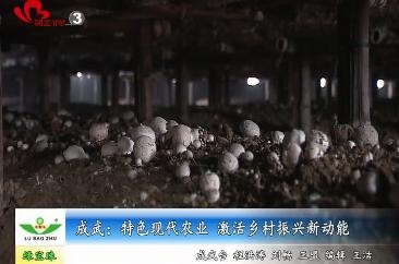 成武：特色现代农业 激活乡村振兴新动能