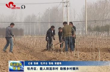 牡丹区：“能”人回流农村 助推乡村振兴