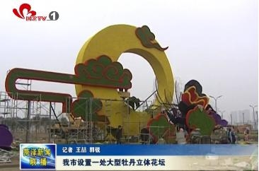 我市设置一处大型牡丹立体花坛