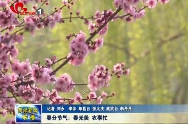 春分节气：春光美 农事忙