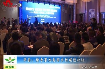 单县：请专家为美丽乡村建设把脉