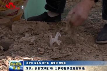 成武：乡村文明行动让乡村有颜值更有内涵