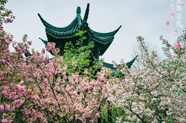 菏泽广电旅游三日游线路