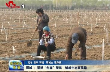 鄄城 ： 紧抓“创森”契机 铺就生态富民路