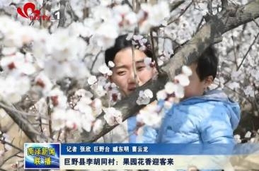 巨野县李胡同村：果园花香迎客来