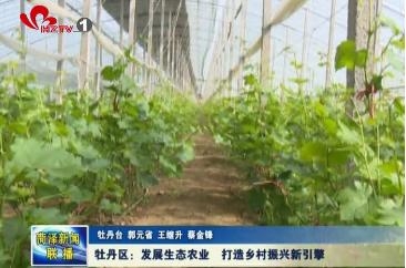 牡丹区：发展生态农业 打造乡村振兴新引擎