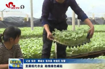 发展现代农业 助推绿色崛起