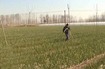 定陶：返乡创业掀高潮 归雁兴陶见成效