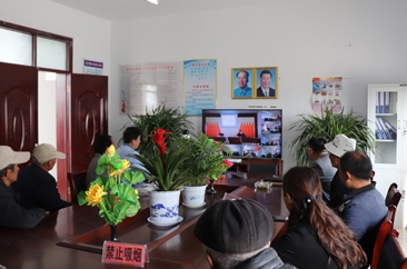 武胜桥镇新模式提升基层组织战斗力