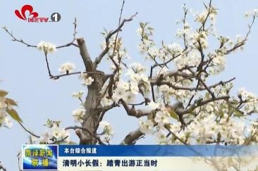 清明小长假：踏青出游正当时