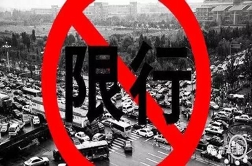 4月12日来菏泽看牡丹这件事要知道