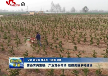 曹县青岗集镇：产业龙头带动 助推美丽乡村建设