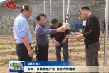 定陶：发展特色产业 促进农民增收