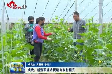 成武：新型职业农民助力乡村振兴