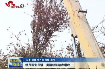 牡丹区安兴镇:美丽经济助农增收