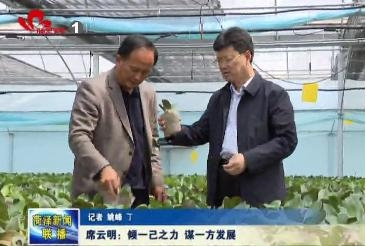 席云明:倾一己之力 谋一方发展