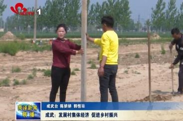 成武：发展村集体经济 促进乡村振兴