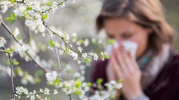 春天防飞絮，“五字诀”护好“四部位”