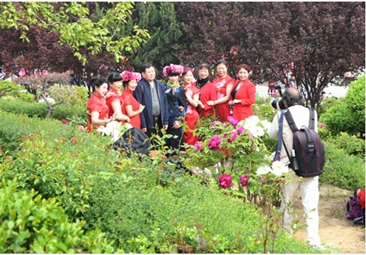 满城皆为牡丹狂