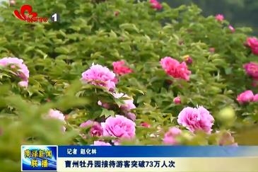 曹州牡丹园接待游客突破73万人次