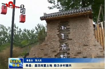 单县：盘活闲置土地 助力乡村振兴