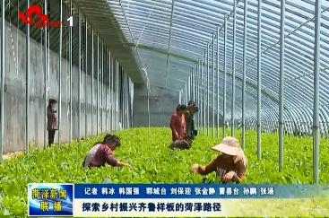  探索乡村振兴齐鲁样板的菏泽路径