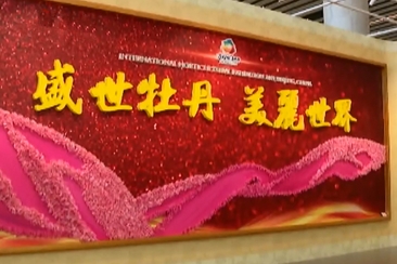 菏泽牡丹惊艳世园会