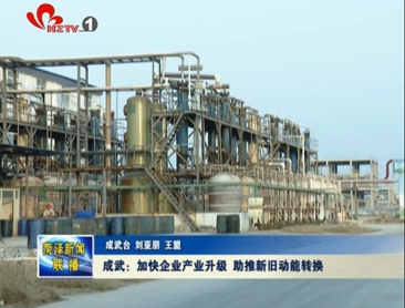 成武：聚力新旧动能转换 跑出高质量发展“加速度”