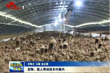 定陶：能人带动促振兴