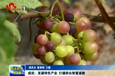 成武：发展特色产业 打通群众致富道路