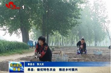  单县：做优特色农业  推进乡村振兴