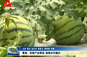 曹县：优势产业带动 助推乡村振兴