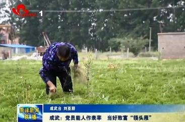 成武：党员能人作表率 当好致富“领头雁”