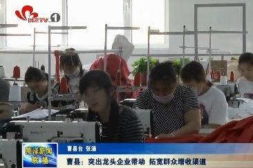曹县：突出龙头企业带动 拓宽群众增收渠道