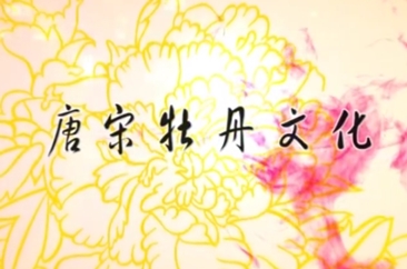 《菏泽大讲堂》：牡丹文化系列之二唐宋牡丹文化